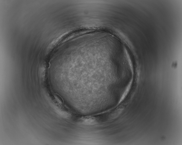 X0000116490113200912231200