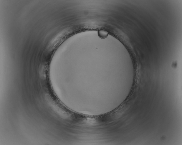 X0000116490114200912231159