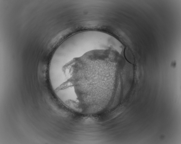 X0000116490115200912231159