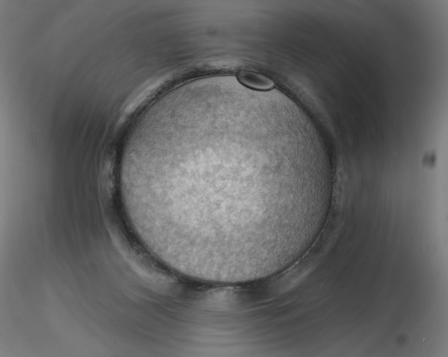 X0000116490116200912231159