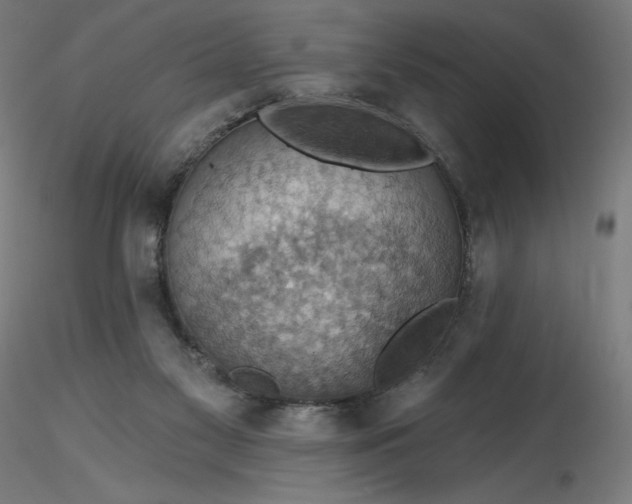 X0000116490117200912231159