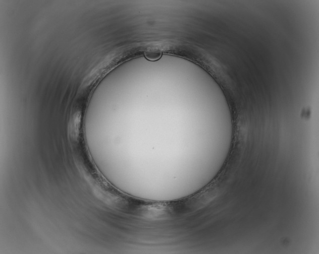 X0000116490118200912231159