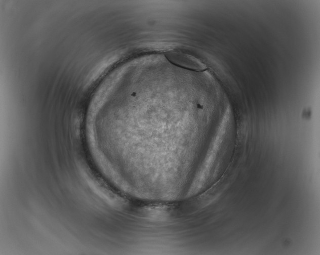 X0000116490120200912231159