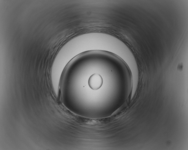 X0000116490125200912231159