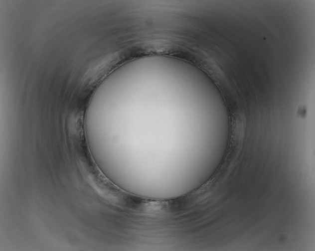 X0000116490126200912231159