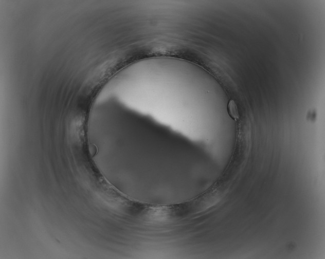 X0000116490127200912231159