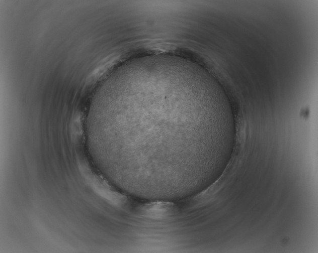 X0000116490128200912231159