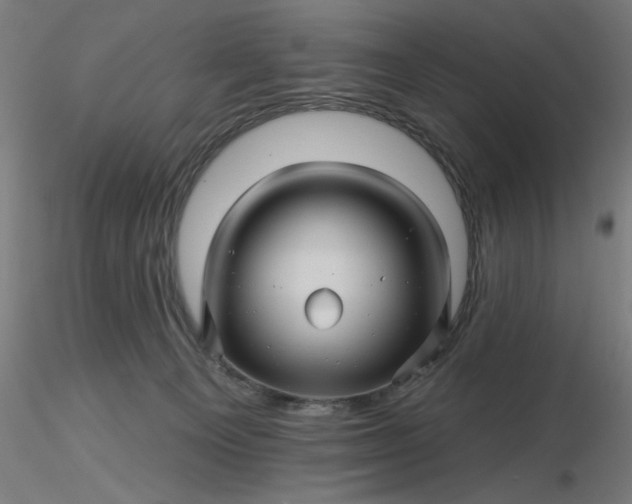 X0000116490129200912231159