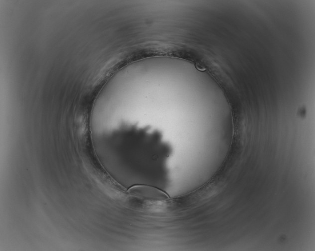 X0000116490131200912231159