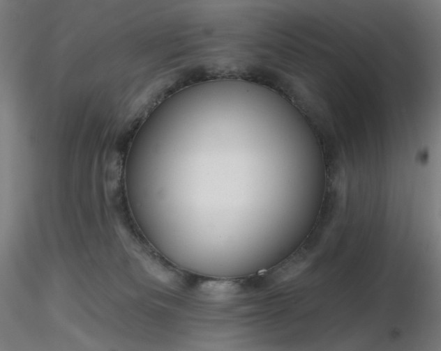 X0000116490133200912231159