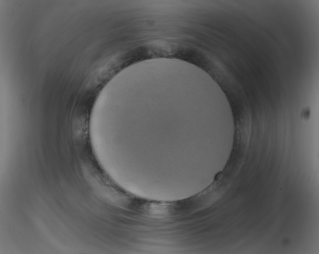 X0000116490134200912231159