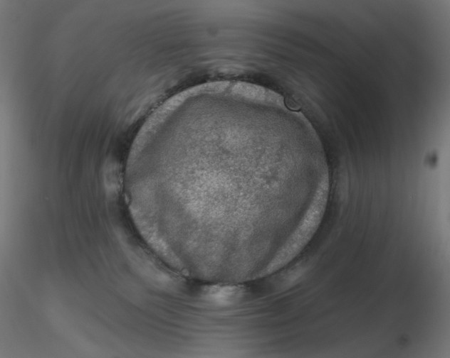 X0000116490135200912231159