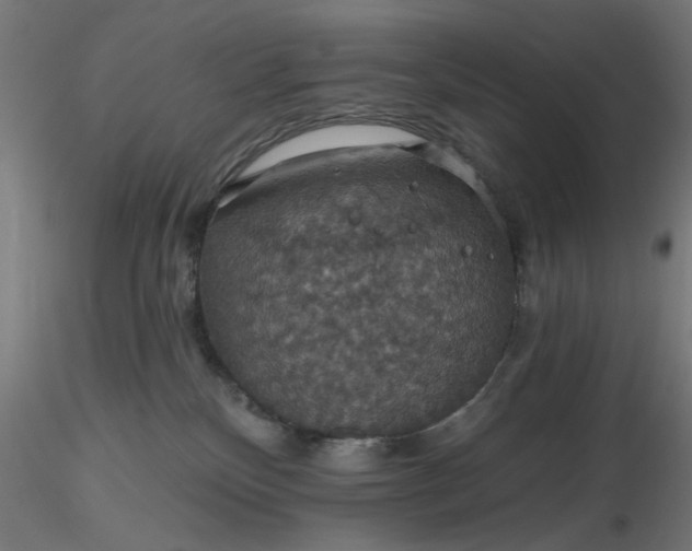 X0000116490136200912231159