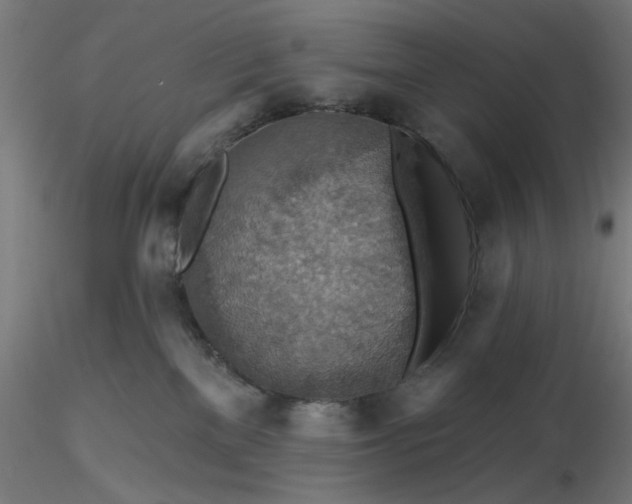 X0000116490137200912231159