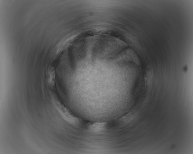 X0000116490138200912231159