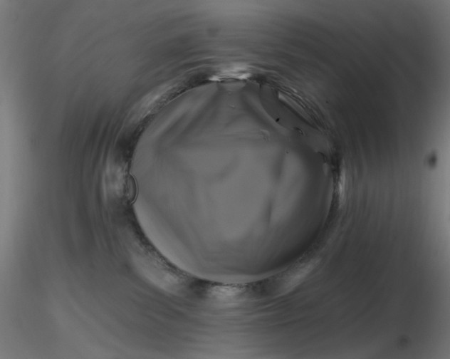 X0000116490139200912231159