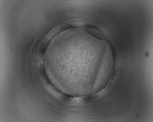 X0000116490140200912231159