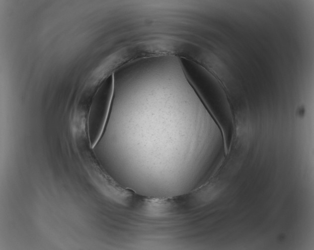 X0000116490141200912231159