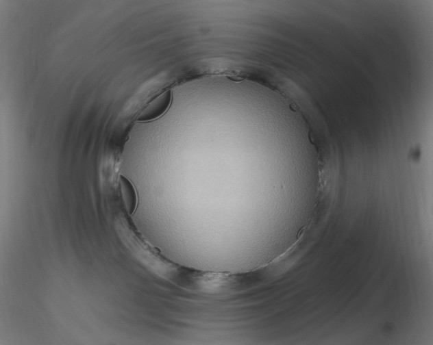 X0000116490142200912231159