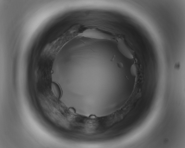 X0000116490143200912231159