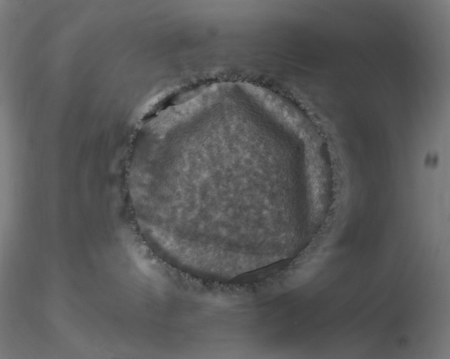 X0000116490144200912231159