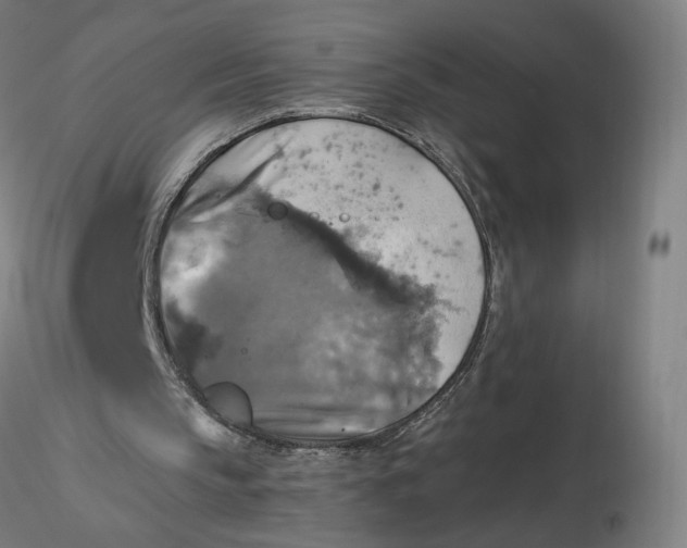 X0000116490145200912231158