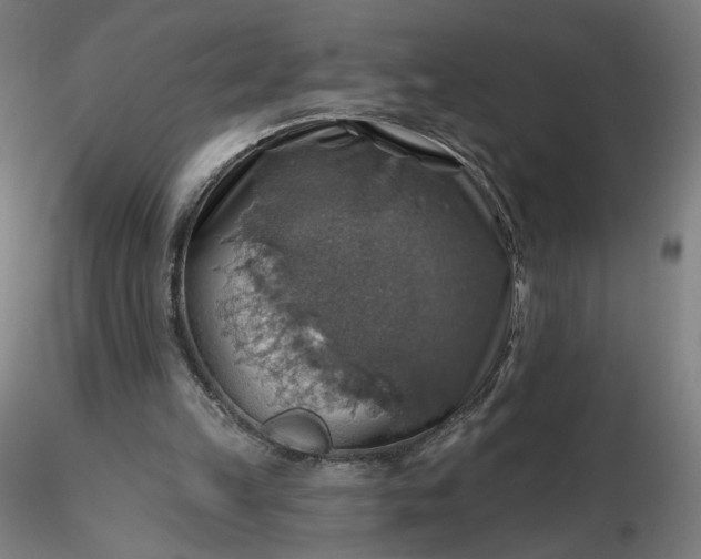 X0000116490149200912231158