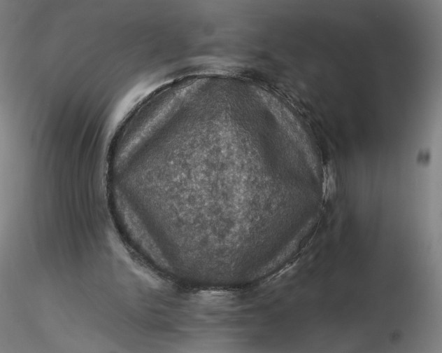 X0000116490150200912231159