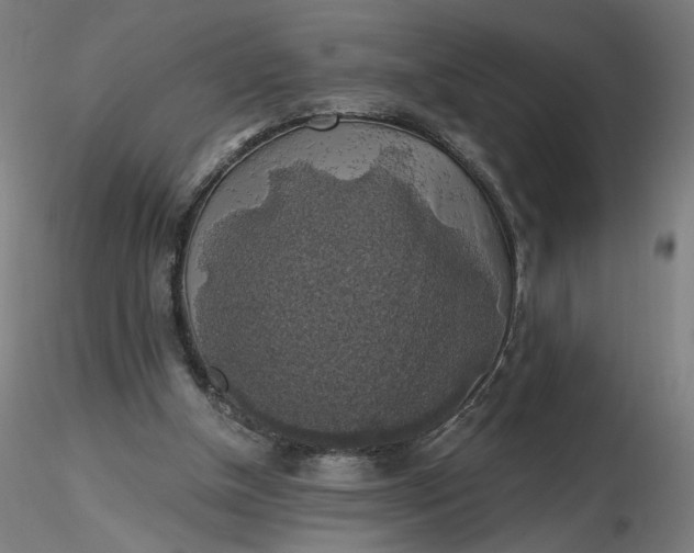 X0000116490154200912231159