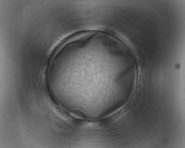 X0000116490155200912231159