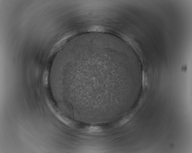 X0000116490157200912231159