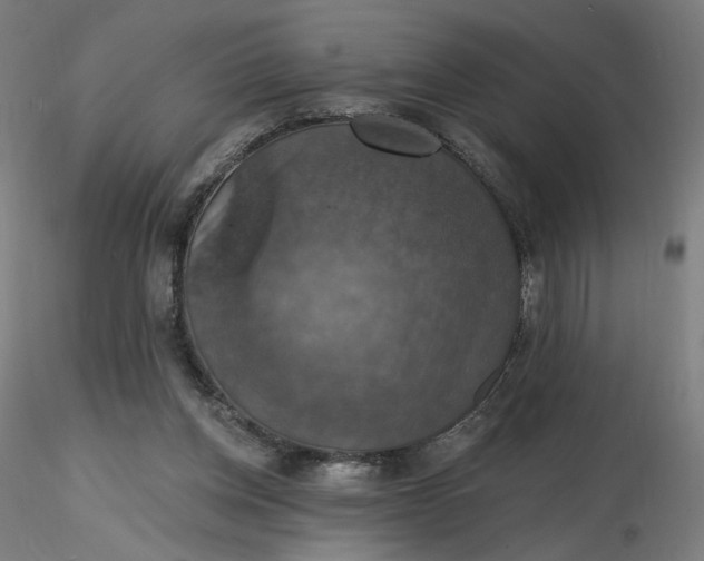 X0000116490158200912231159