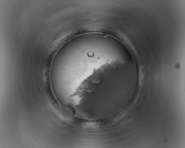 X0000116490161200912231159