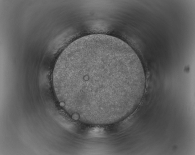 X0000116490162200912231159