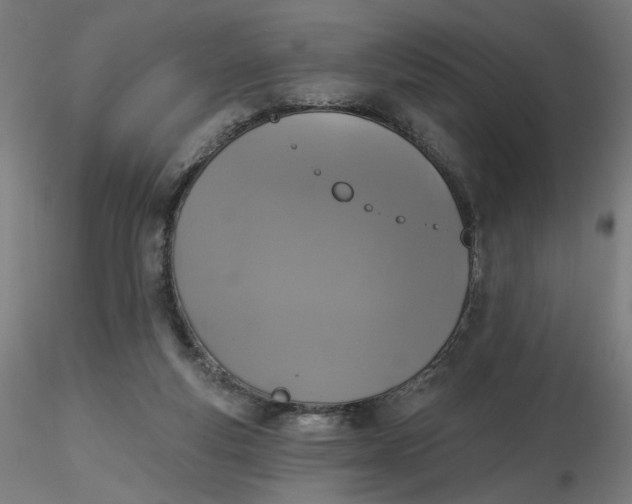 X0000116490163200912231159