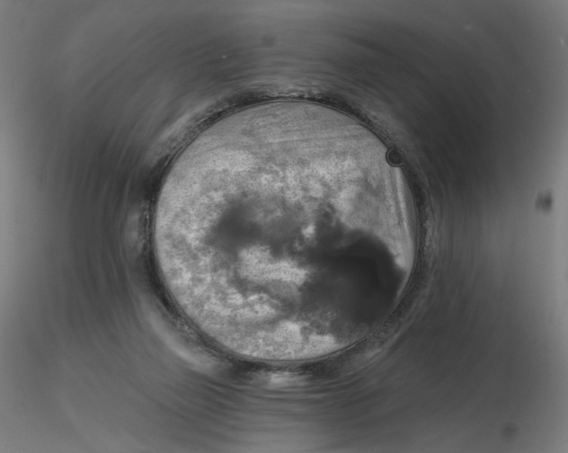 X0000116490165200912231159