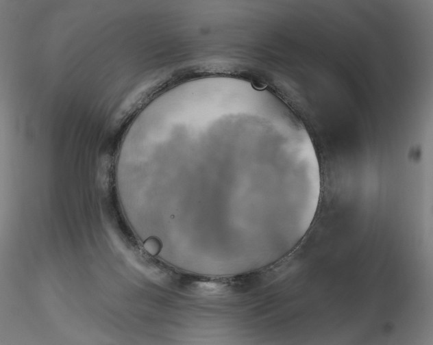 X0000116490167200912231159