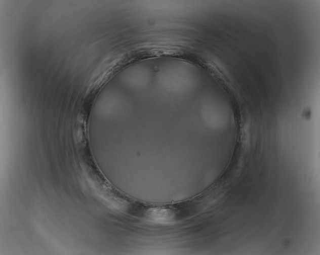 X0000116490169200912231159