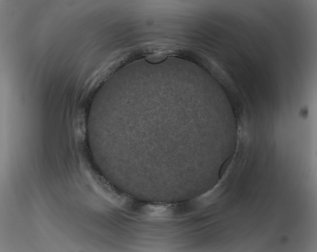 X0000116490170200912231159