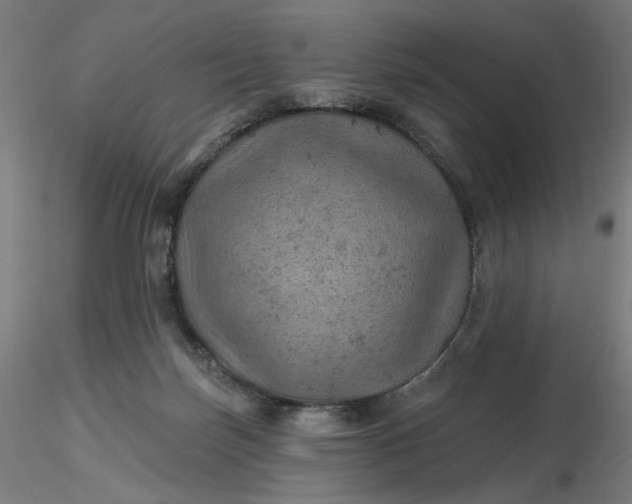 X0000116490171200912231159