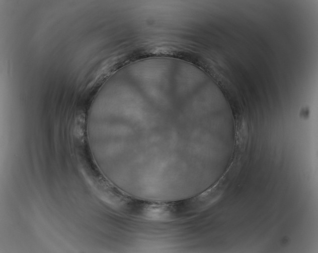 X0000116490175200912231159