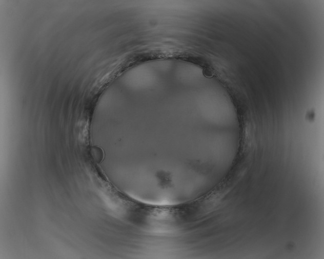 X0000116490177200912231159