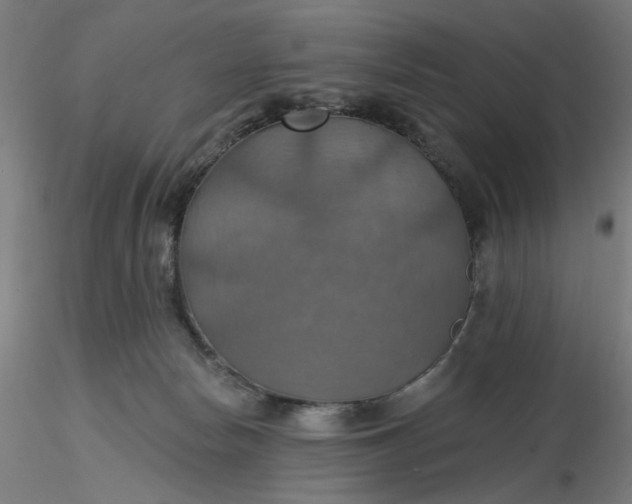 X0000116490178200912231159