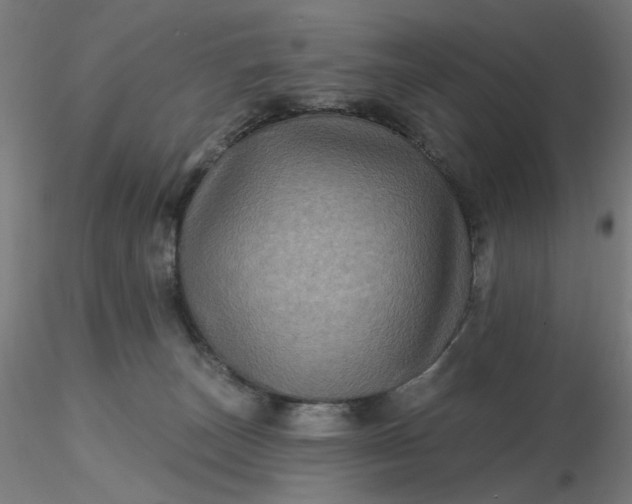 X0000116490179200912231159