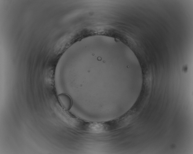 X0000116490181200912231159