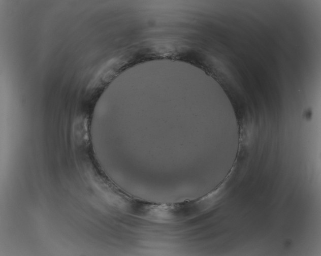 X0000116490182200912231159