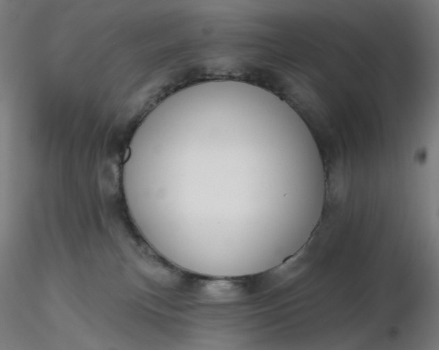 X0000116490183200912231159