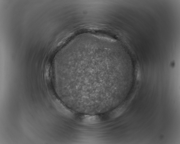 X0000116490185200912231159