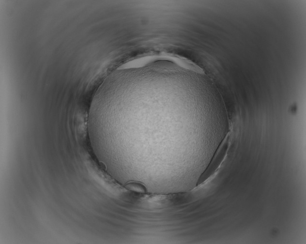 X0000116490186200912231159