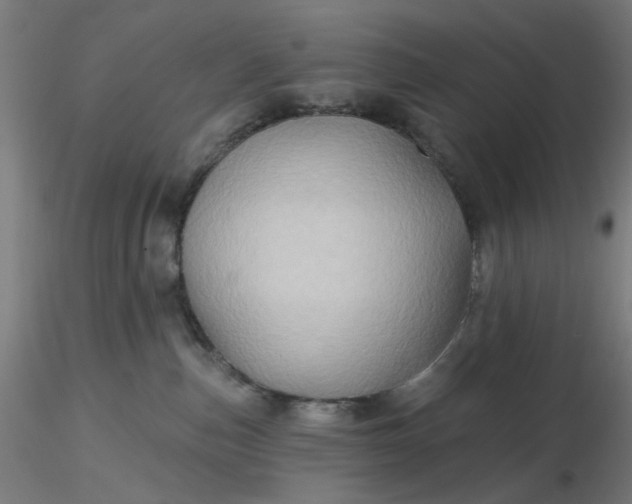 X0000116490187200912231159